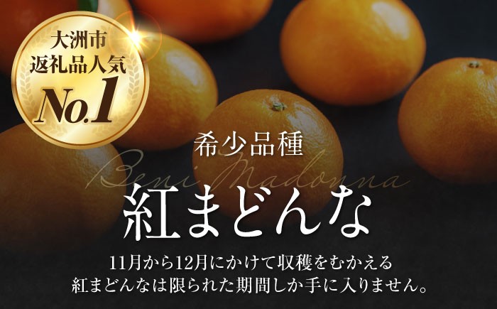 みかん王国愛媛県からの定期便！【全2回定期便】紅まどんな＆甘平 贅沢柑橘セット