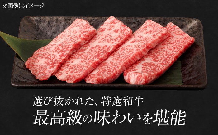 国産和牛焼肉セットこくさん牛肉やきにく焼肉焼き肉焼肉セット冷凍焼肉焼き肉ヒレシャトーブリアン食べ比べ赤身しゃとーぶりあん定期便