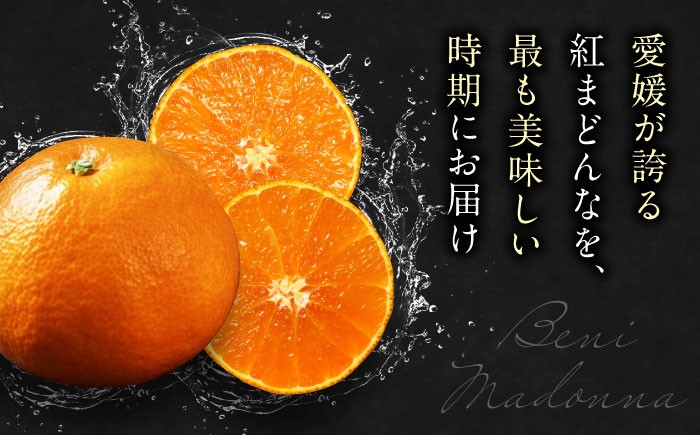 フルーツ王国愛媛県からお届け！とろけるみかん！ 紅まどんな 4L～2L玉サイズ 約3kg化粧箱入（8玉～12玉入）