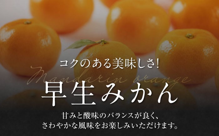 フルーツの代表!冬の定番果物!赤秀 愛媛県産 早生みかん 5㎏箱(50玉~80玉)