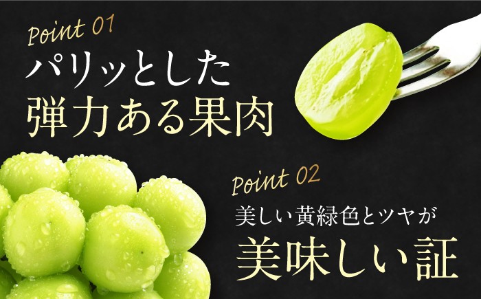 果物王国愛媛県からお届け！みかんとぶどうのフルーツ2種の贅沢定期便！【全2回定期便】シャインマスカット＆紅まどんな