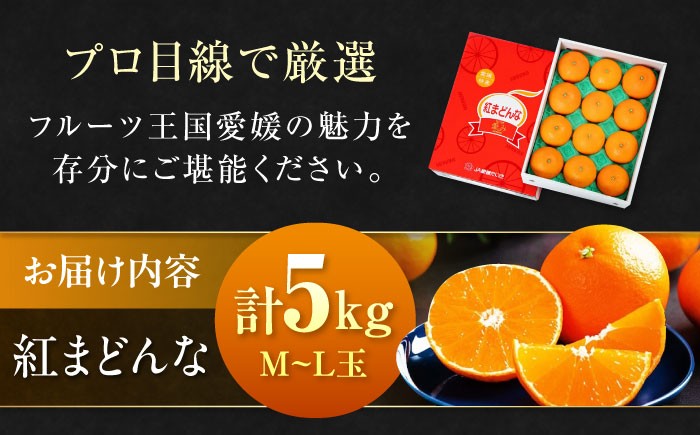 まるでゼリーのようなとろけるみかん！紅まどんな M〜L玉サイズ 約5kg　家庭用箱入（24玉～30玉）
