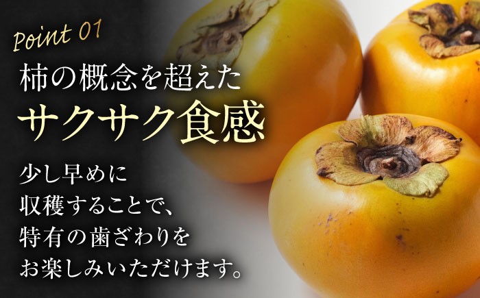 柿の概念を超えたサクサク食感！太秋柿 2Lサイズ 約3kg化粧箱入（12玉入り）かき カキ 柿 果物 フルーツ