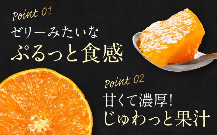 みかん王国愛媛県からの定期便！【全2回定期便】紅まどんな＆甘平 贅沢柑橘セット