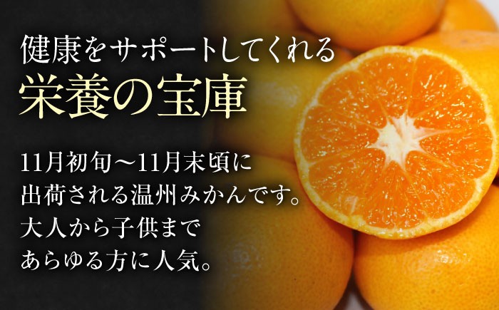 フルーツの代表!冬の定番果物!赤秀 愛媛県産 早生みかん 5㎏箱(50玉~80玉)