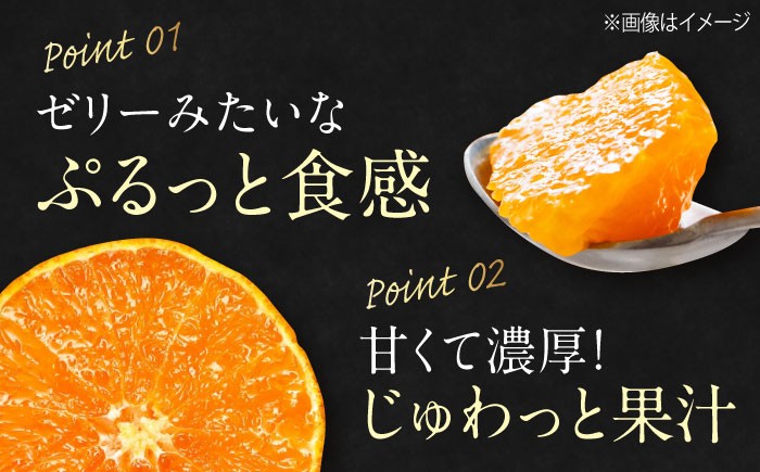 まるでゼリーのようなとろけるみかん！紅まどんな M〜L玉サイズ 約5kg　家庭用箱入（24玉～30玉）