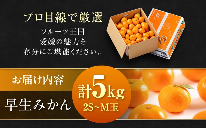 フルーツの代表!冬の定番果物!赤秀 愛媛県産 早生みかん 5㎏箱(50玉~80玉)