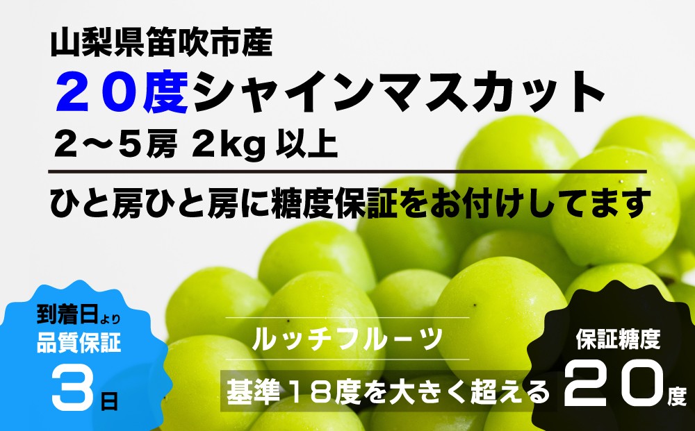 ひと房ひと房、手作業で丁寧に糖度全数検査を行い、糖度20度以上の超厳選シャインマスカットをお届けします!