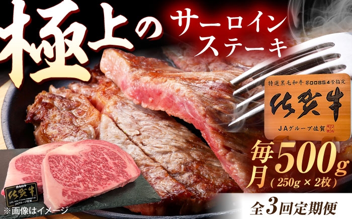 佐賀牛 サーロインステーキ サーロイン ステーキ ステーキ肉 すてーき肉 牛肉 国産 ブランド 和牛