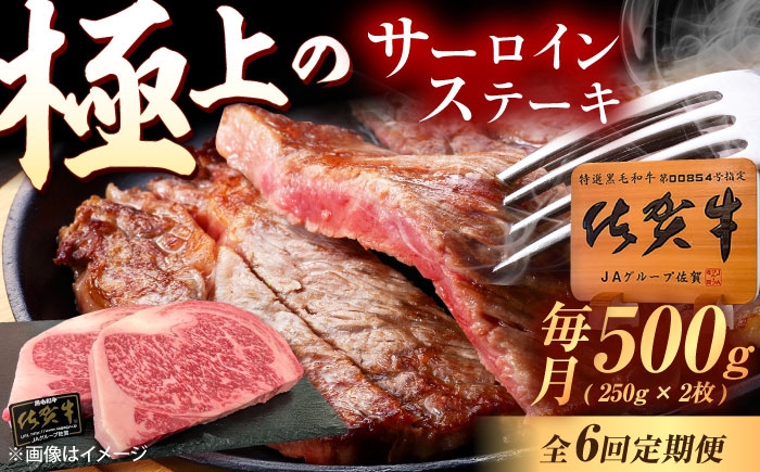 佐賀牛 サーロインステーキ サーロイン ステーキ ステーキ肉 すてーき肉 牛肉 国産 ブランド 和牛
