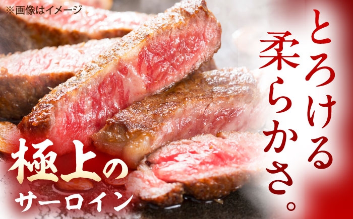 佐賀牛 サーロインステーキ サーロイン ステーキ ステーキ肉 すてーき肉 牛肉 国産 ブランド 和牛