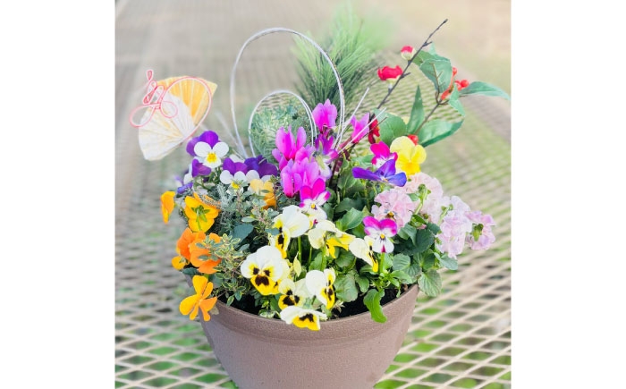  正月飾り 花苗 鉢 ピック