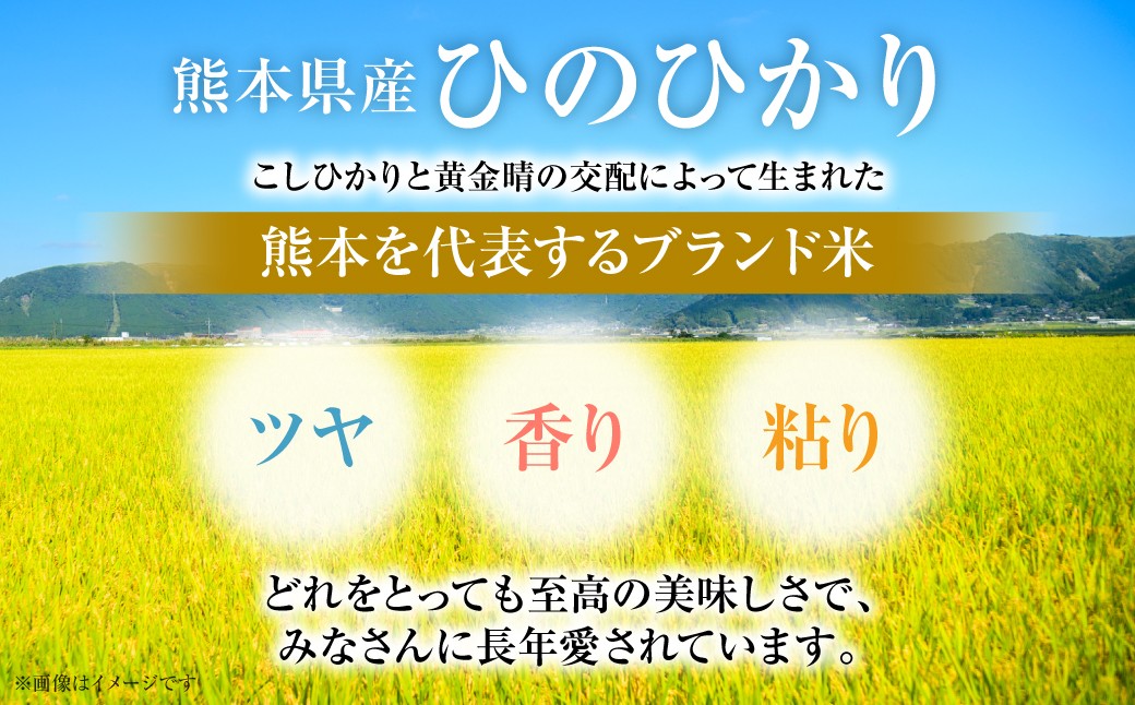 「ツヤ・香り・粘り」どれをとっても至高の美味しさ。熊本を代表するブランド米、ひのひかり。