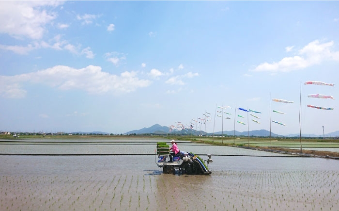 特別栽培米 榮米 滋賀県産きらみずき 2kg