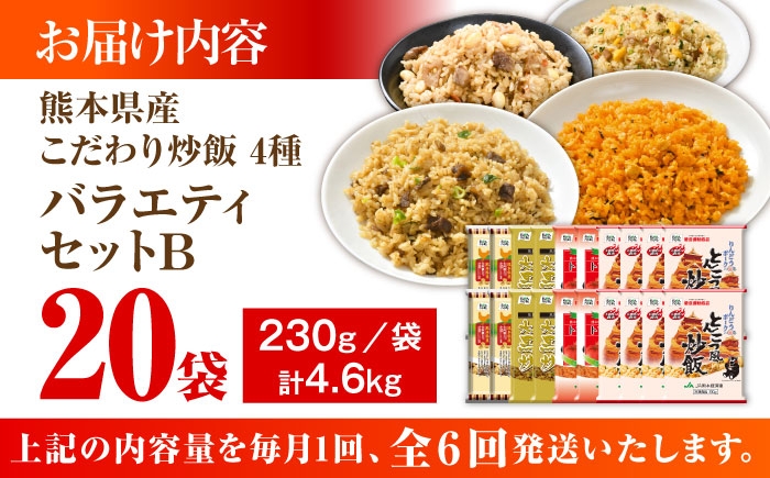 冷凍食品 チャーハン 熊本県 特産品 焼きめし 冷凍炒飯 惣菜 焼飯 焼き飯 炒飯 惣菜 時短 レンチン 簡単 ごはん 菊陽町
