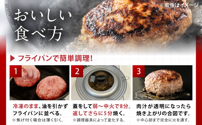 佐賀牛入り生ハンバーグ 牛肉 佐賀牛 冷凍 国産 牛肉 ハンバーグ 牛肉