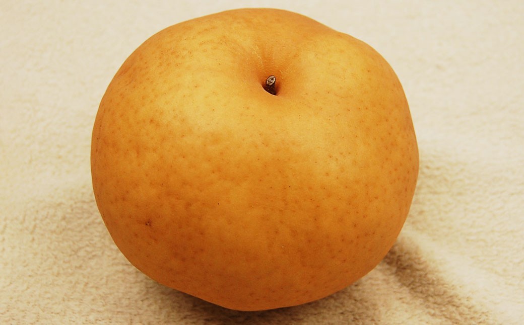 あたご梨約3kg 3~5玉入