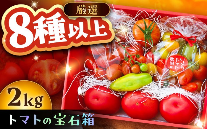 トマト とまと 大玉トマト ミニトマト 詰め合わせ お取り寄せ 産地直送 とまと トマト 野菜 やさい ギフト 贈答 プレゼント