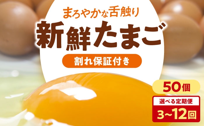【全3回定期便】海草卵5パック(50個入り)