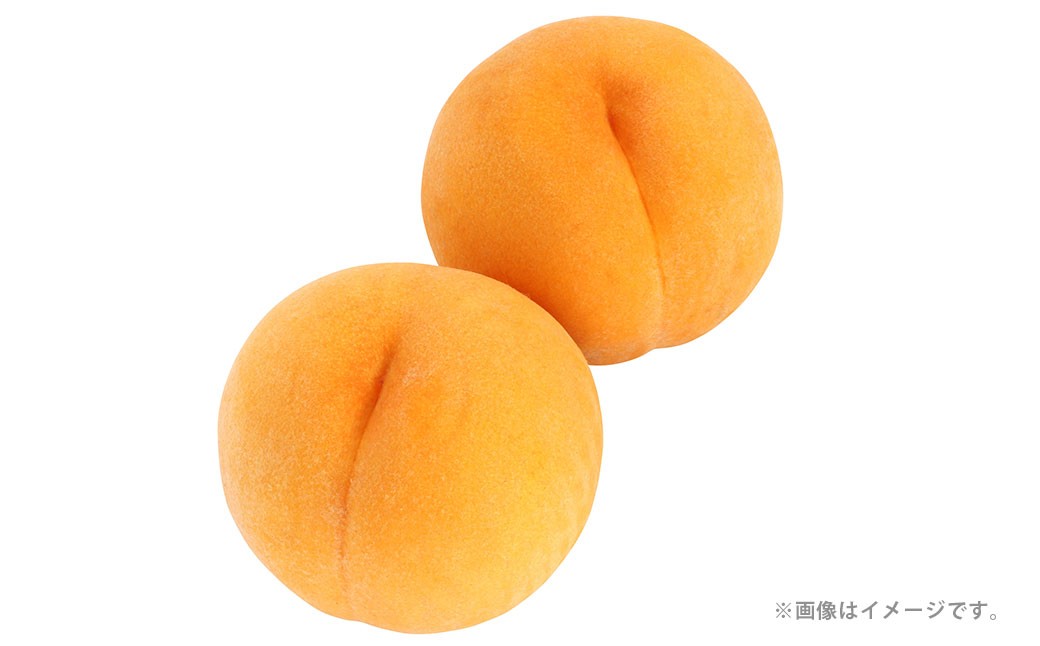 黄金桃（6玉 約1.4kg、ロイヤル級 1玉 240g以上）