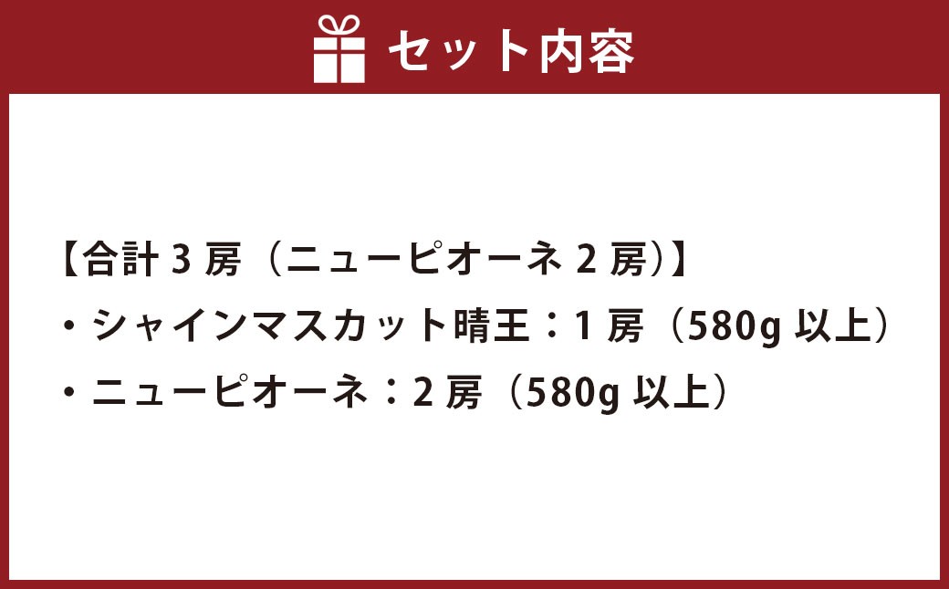 つる付きニューピオーネ2房（1房580ｇ以上）つる付きシャインマスカット（晴王）1房（1房580ｇ以上）