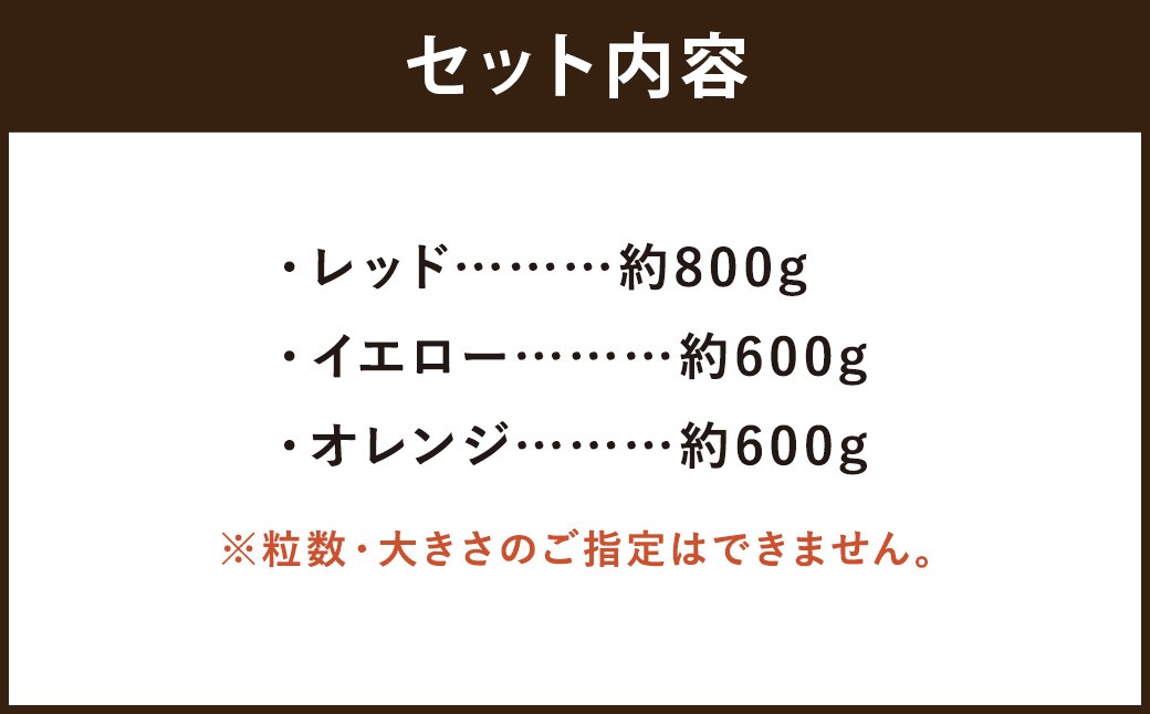 【訳あり】ミニトマト『アイコ』3色ミックス 約2kg