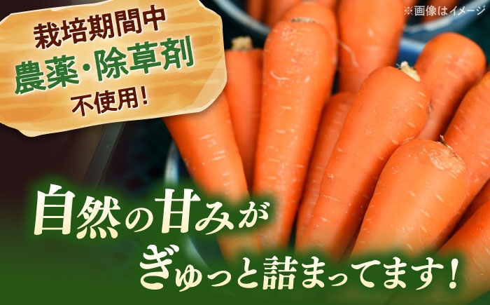 人参 ニンジン セット 野菜 無農薬 栽培期間中農薬不使用 詰め合わせ 