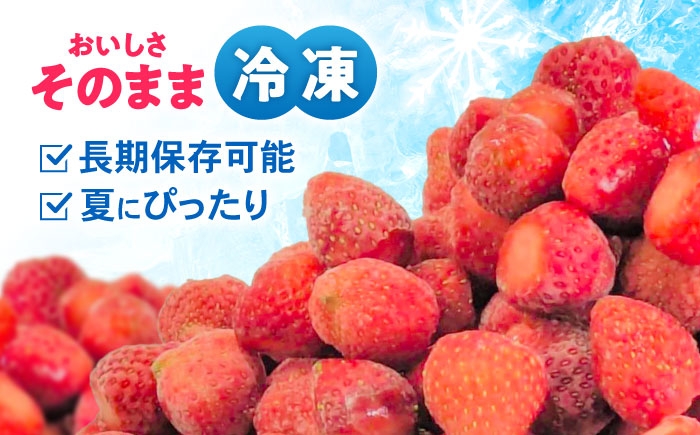 果物 フルーツ いちご イチゴ 苺 ストロベリー ベリー 冷凍 フローズン 冷凍いちご 冷凍フルーツ イチゴジャム かき氷