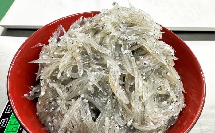 海鮮 魚介類 冷凍 水産加工品 しらす 生しらす しらす丼 小分け