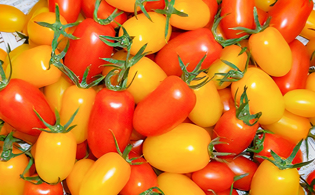 【訳あり】夏野菜セット3品【ミニトマト・なす・きゅうり】