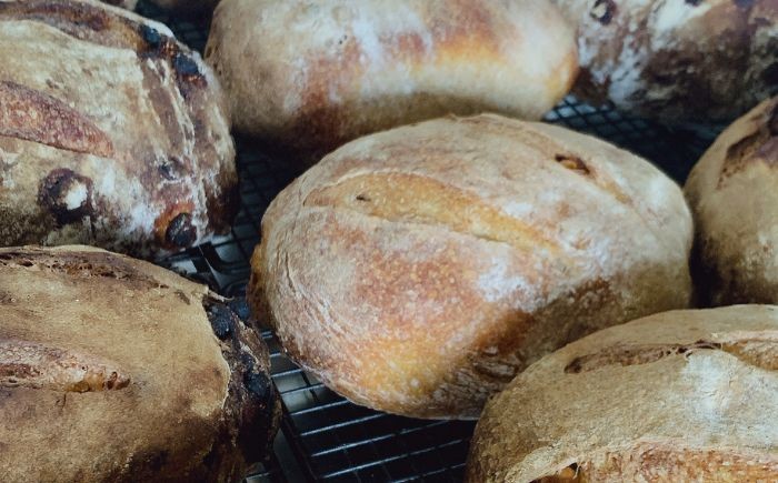 パン 道産小麦 国産小麦 自家製酵母 詰め合わせ セット 朝食 冷凍配送 北海道