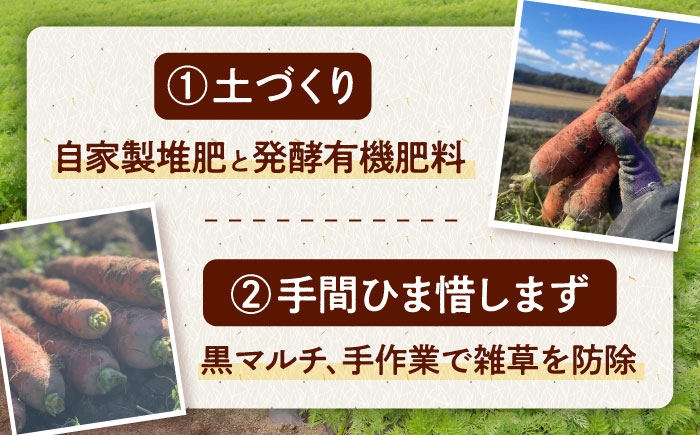 人参 ニンジン セット 野菜 無農薬 栽培期間中農薬不使用 詰め合わせ 