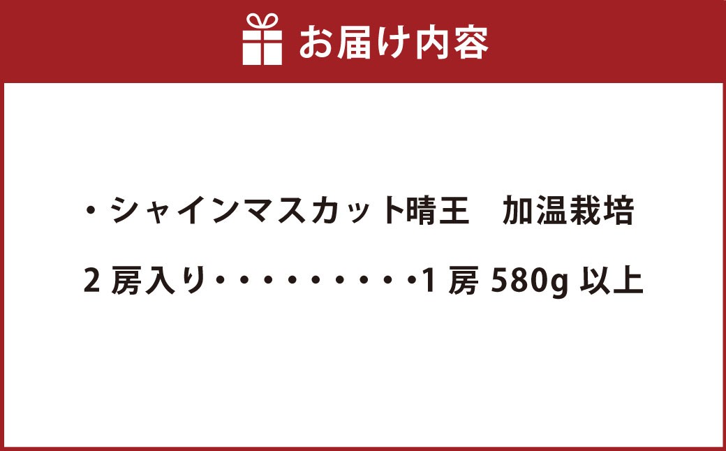 岡山県産シャインマスカットつる付き2房入り（1房580ｇ以上）