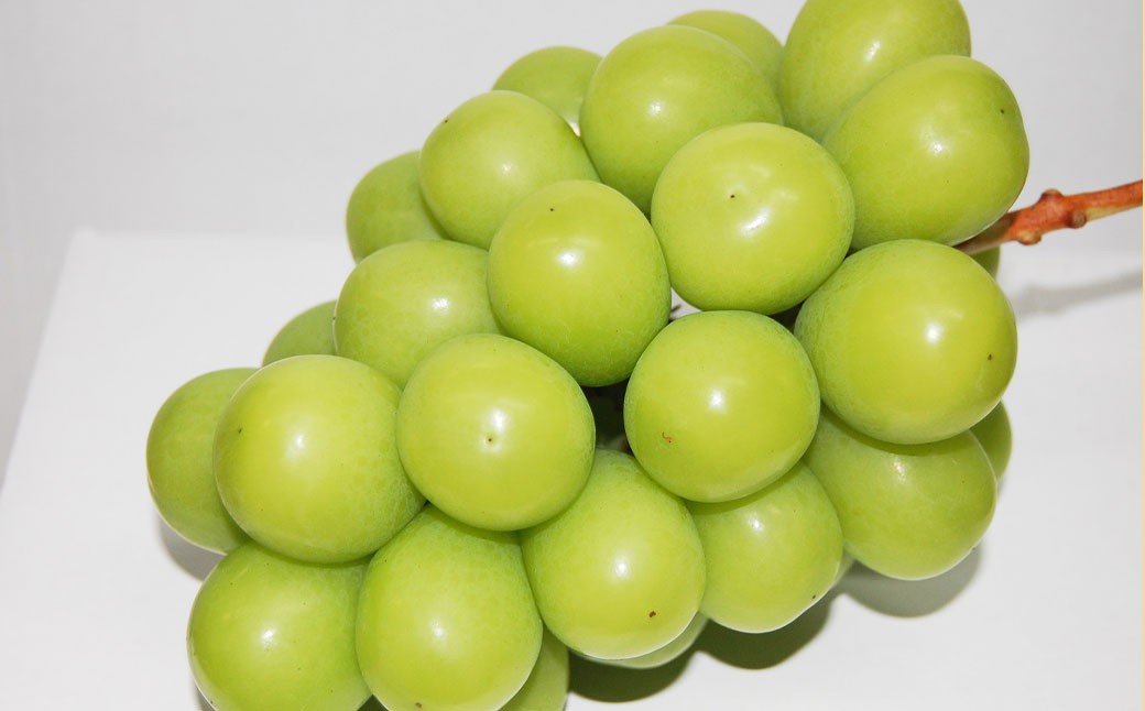 つる付きニューピオーネ1房（1房580ｇ以上）つる付きシャインマスカット（晴王）2房（1房580ｇ以上）