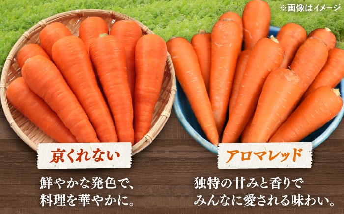 人参 ニンジン セット 野菜 無農薬 栽培期間中農薬不使用 詰め合わせ 