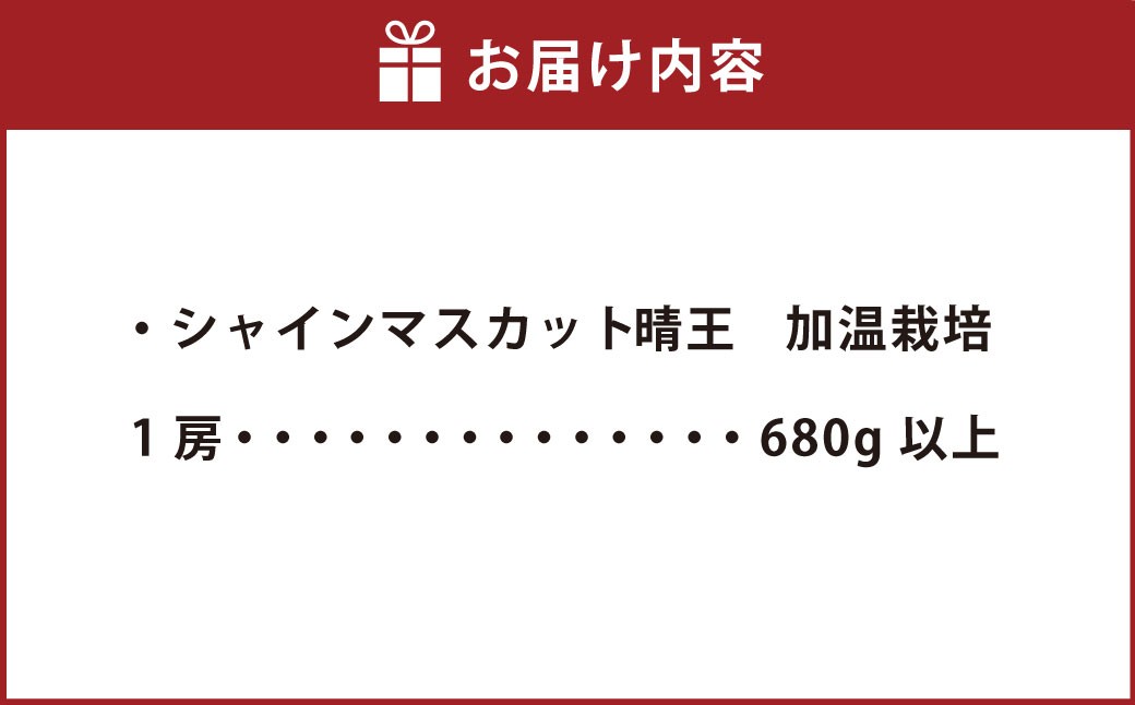 岡山県産シャインマスカットつる付き1房入り（1房680ｇ以上）