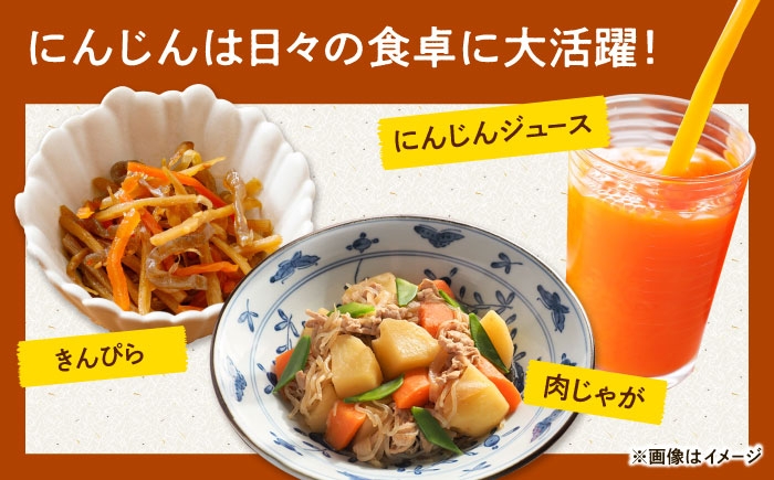 人参 ニンジン セット 野菜 無農薬 栽培期間中農薬不使用 詰め合わせ 