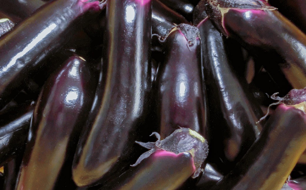 【訳あり】夏野菜セット3品【ミニトマト・なす・きゅうり】