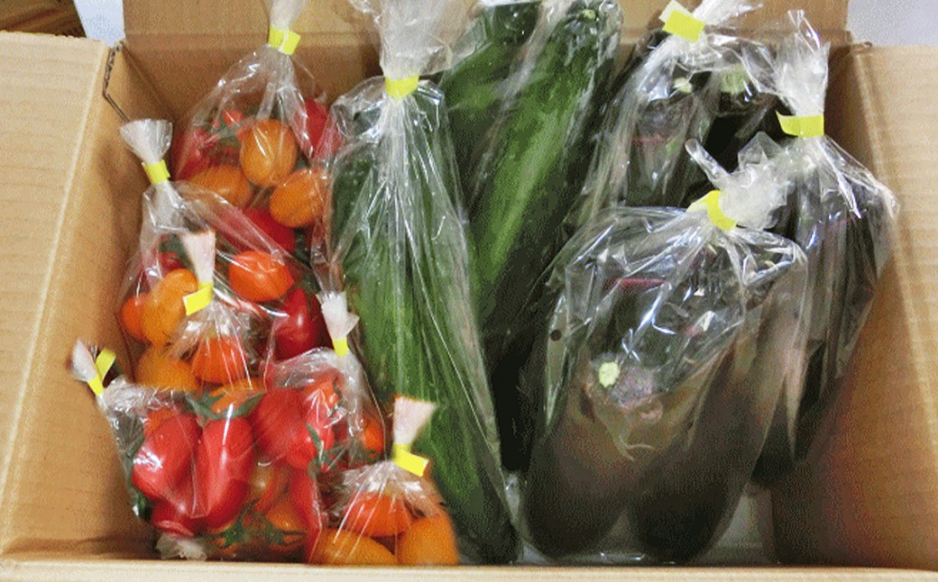 【訳あり】夏野菜セット3品【ミニトマト・なす・きゅうり】
