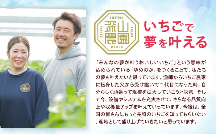 果物 フルーツ いちご イチゴ 苺 ストロベリー ベリー 冷凍 フローズン 冷凍いちご 冷凍フルーツ イチゴジャム かき氷