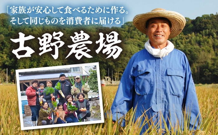 人参 ニンジン セット 野菜 無農薬 栽培期間中農薬不使用 詰め合わせ 