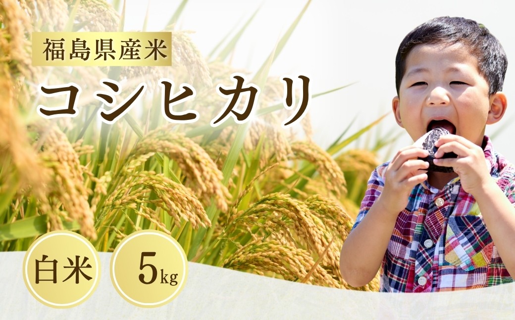先行予約 コシヒカリ 白米 5㎏｜ 福島 福島県産 福島産 精米 令和7年産 【149448-001-01】