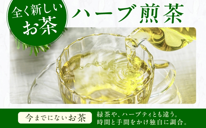 ハーブティー お茶 八女茶 エルダーフラワー