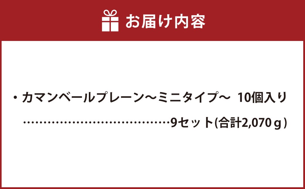 カマンベールプレーン~ミニタイプ~ 10個入り×9セット