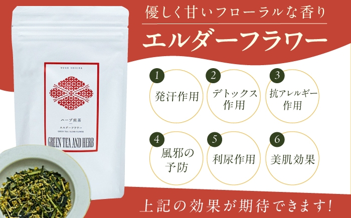 ハーブティー お茶 八女茶 エルダーフラワー