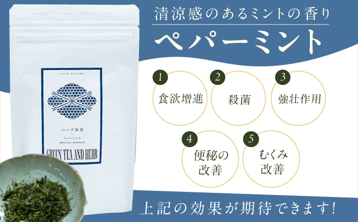 ハーブティー お茶 八女茶 ペパーミント