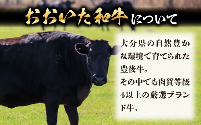 和牛 ヒレ ヒステーキ 牛肉 おおいた和牛 ステーキ 豊後牛 国産