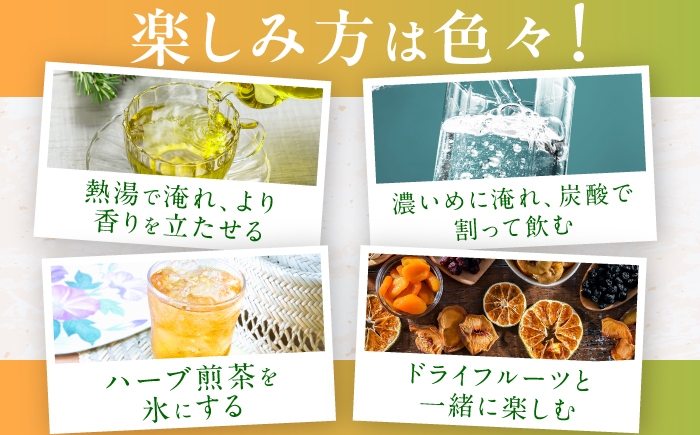 ハーブティー お茶 八女茶 ペパーミント