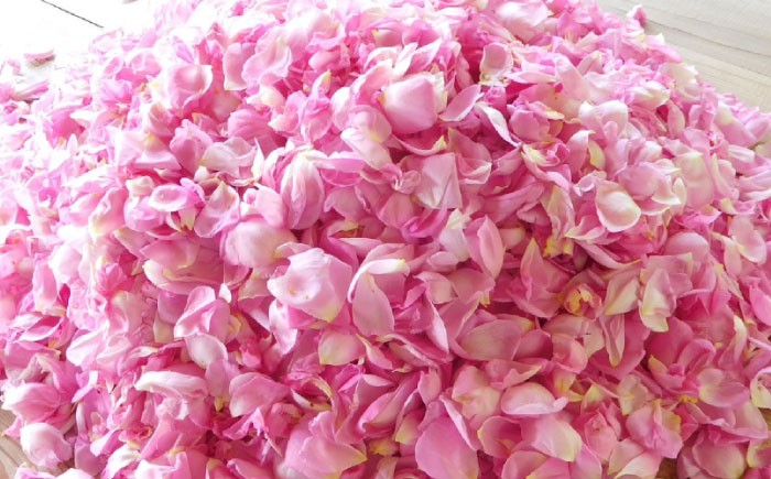 コーヒー×バラで優雅なひとときを 珈琲 薔薇 食用バラ ばら ドリップコーヒー