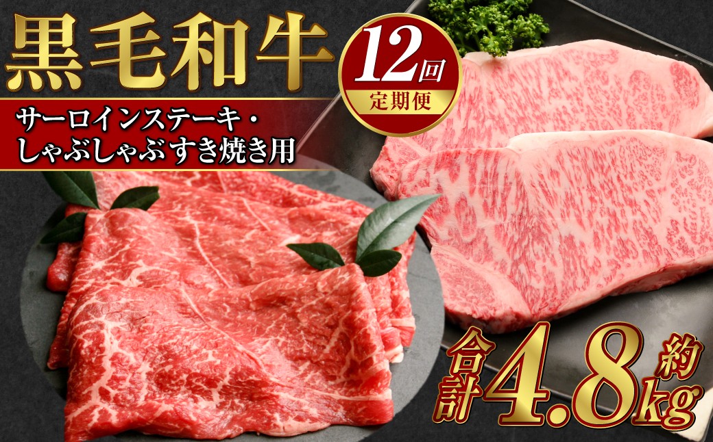 【定期便12か月】岡山 黒毛和牛 美星牛 A4等級以上 牛脂付き 12か月定期便 合計約4800g